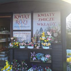 Kwiat Róży Marta Mikołajczak (Wschowa )