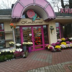 Kwiatex. Kwiaciarnia (Olsztyn )