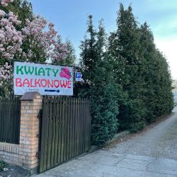 Kwiatki Beatki, Ogrodnictwo Beata I Dariusz Buchmiet, Gorzów (Gorzów Wielkopolski )