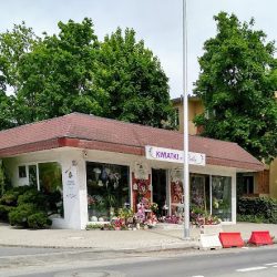 Kwiatki U Patki Patrycja Ratajek (Opole )