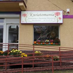 Kwiatomania (Kielce )