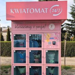 Kwiatomat 24/7 RzeszÓw Kwiaciarnia GipsÓwka (Rzeszów )