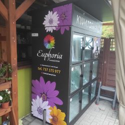 Kwiatomat 24h/7 Euphoria (Poznań en Merlo San Luis)