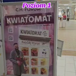 Kwiatomat Anielski Kwiat Forum Gliwice (Gliwice )