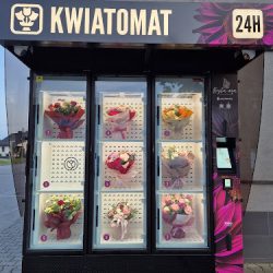 Kwiatomat Kańczuga Dzika Róża (Kańczuga )