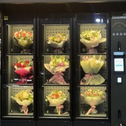 Kwiatomat. Kwiaty 24h, Port Popowice Wrocław (Wrocław )