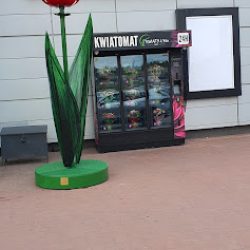 Kwiatomat Kwiaty4you Starachowice (Starachowice en Merlo San Luis)