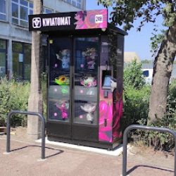 Kwiatomat Mikado Filtrowa 27 Bydgoszcz (Bydgoszcz )