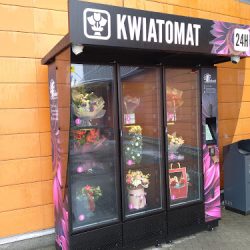 Kwiatomat Opole Floribunda Ch Karolinka (Opole en Merlo San Luis)