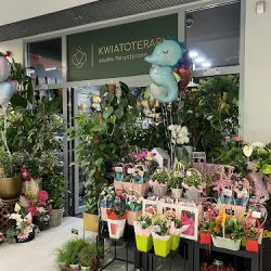 Kwiatoterapia Studio Florystyczne (Józefosław )
