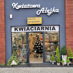 Kwiatowa Alejka Kwiaciarni Romańscy (Tarnów )
