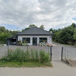 Kwiatowa Fantazja (Winnica )