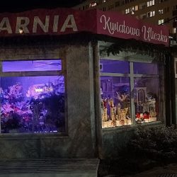 Kwiatowa Uliczka Weronika Kopyściańska (Legnica )