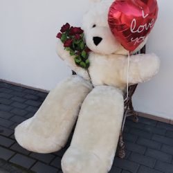 Kwiatowe Wariacje (Piekoszów en Merlo San Luis)