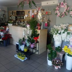 Kwiatowy Zakątek (Janów )
