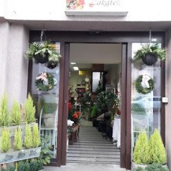 Kwiatowy Zakątek Poczta Kwiatowa Brodnica (Brodnica )