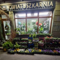 Kwiatuszkarnia (Zielona Góra )
