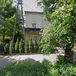 Kwiaty (Podkowa Leśna )