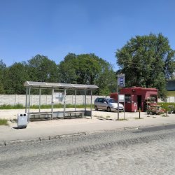 Kwiaty (Wrocław )