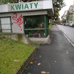 Kwiaty (Katowice )