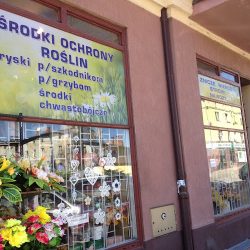 Kwiaty Artykuły Ogrodnicze Znicze Wiązanki Ochrona Roślin (Wałbrzych en Merlo San Luis)