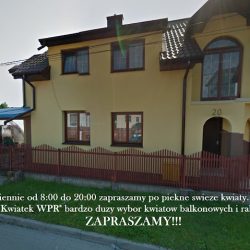 Kwiaty Balkonowe I Rabatowe 