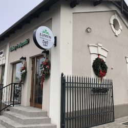 Kwiaty I Wiązanki Lumen (Marki )