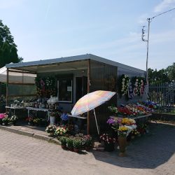 Kwiaty I Znicze (Pruszków )