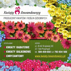 Kwiaty Lewandowscy (Przemyśl )