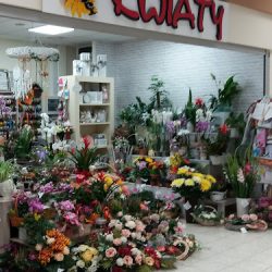 Kwiaty Majewscy (Legnica )