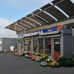 Kwiaty Na Pogrzeb Katowice (Katowice )