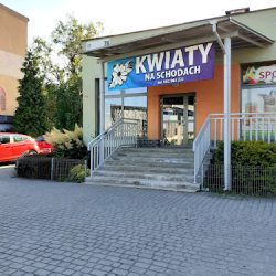 Kwiaty Na Schodach (Katowice )