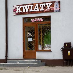Kwiaty Pod Wieżą (Radom )