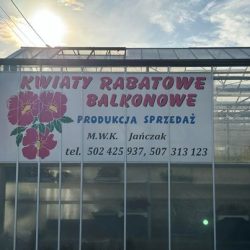 Kwiaty Rabatowe Balkonowe M.w.k Jańczak (Prokopów en Merlo San Luis)
