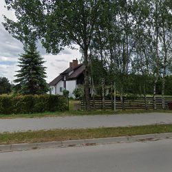 Kwiaty Róże Cięte (Ząbkowice Śląskie )