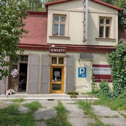 Kwiaty S.c. Zielińska D., Kalinowski W. (Przemyśl )