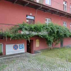 Kwiaty S.c. Zielińska, Kalinowski (Przemyśl )