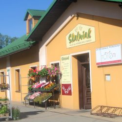 Kwiaty Skalniak (Węgierska Górka )