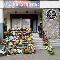 Kwiaty U Agaty (Wałbrzych en Merlo San Luis)