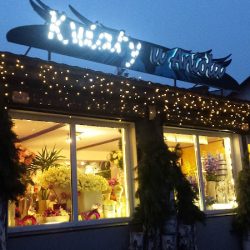 Kwiaty U Anioła (Pionki )
