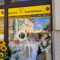 Kwiaty U Beaty (Błażowa )