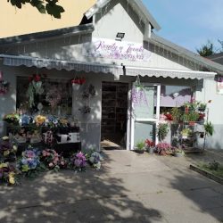 Kwiaty U Iwonki (Zabrze )