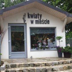 Kwiaty W Mieście (Krosno )
