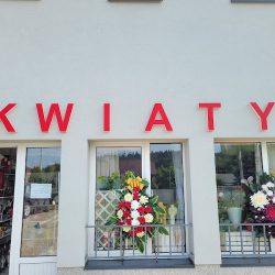 Kwiaty W Olszanicy (Olszanica )