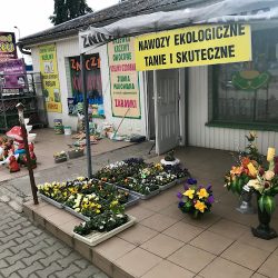 Kwiaty Wieńce Art. Dekoracyjne Sobkowiak T.z. (Skwierzyna )