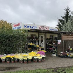 Kwiaty, Znicze, Wkłady - Zabrodzka (Wrocław )