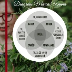 Kwitnące Horyzonty Szkoła Florystyczna (Opole en Merlo San Luis)