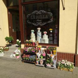 La Bella Flowers (Leszno en Merlo San Luis)