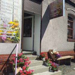 La Flor Kwiaciarnia Z Pomysłem Kamila Płaczek (Katowice )