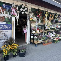 La-flora Anna Wiśniewska (Busko-Zdrój en Merlo San Luis)